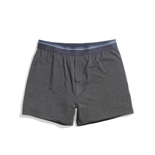 Best Boxers Ever